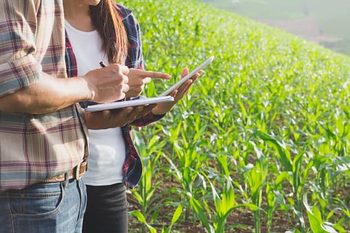 Crédito rural recua e aumenta atenção sobre a safra 2026/27