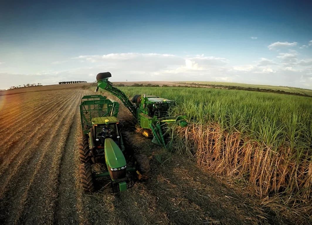 Plantio sustentável de cana-de-açúcar na entressafra